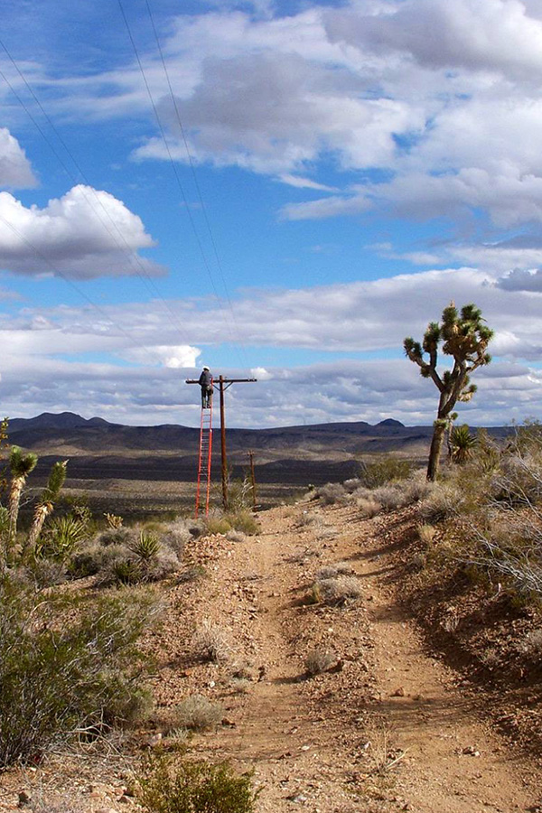 power line in desert